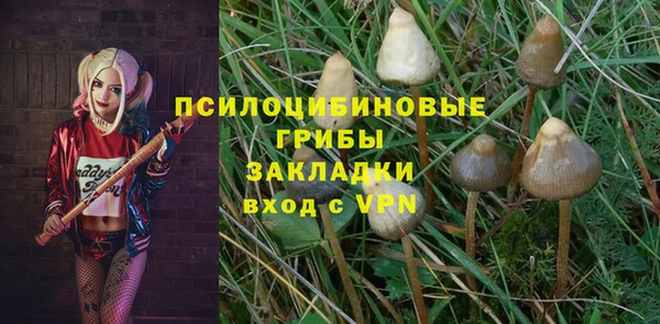 винт Алзамай