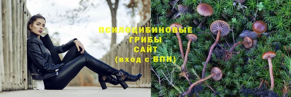 винт Алзамай